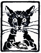 SRC-Logo-Cat-675