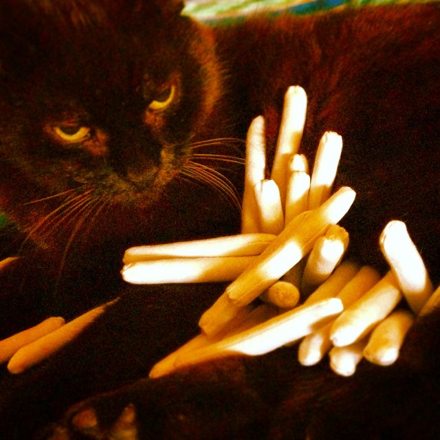 Catnip Joints — Stark Raving Cat