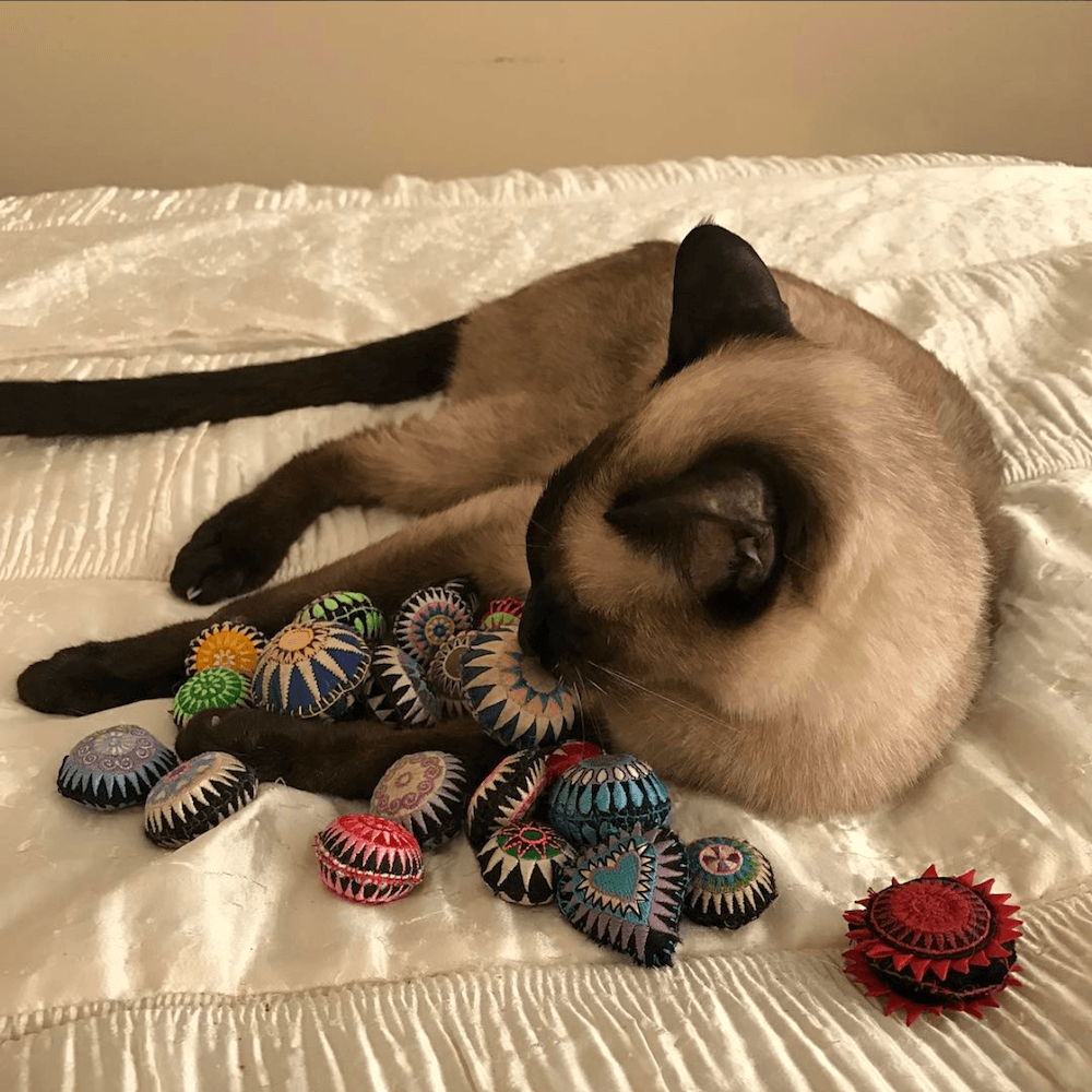 Cat with Scatterballs