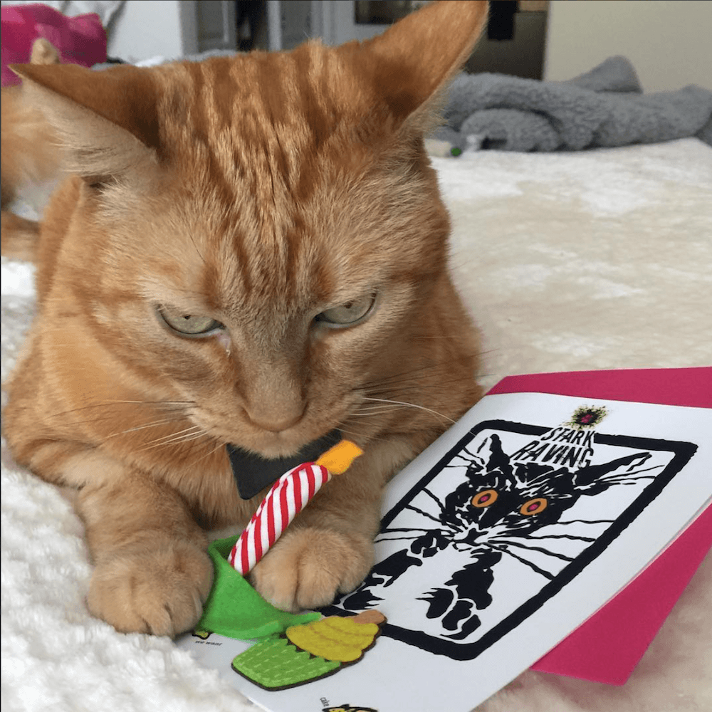 Cat with Birthday Joint