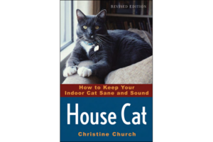 House Cat by Christine Church