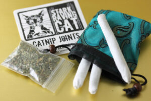 Three Cat Joints Green Gift Bag