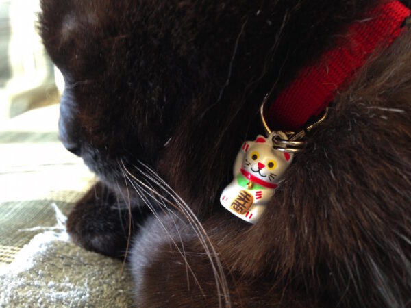 Lucky Bell Collar