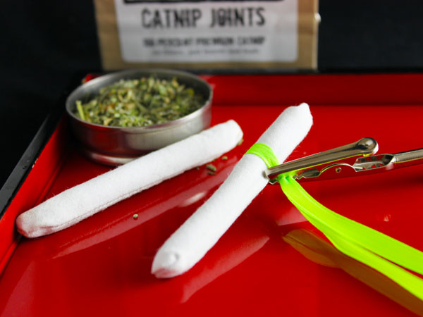 Catnip Joint on Clip