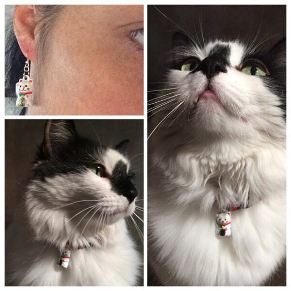 Neko Earrings and Collar Set