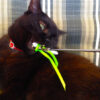 Wolfie & Telescoping Wand