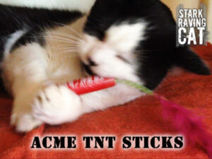 Pookie Loves His Acme TNT Stick