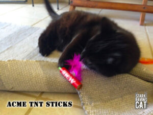 Wolfie Loves Acme TNT Sticks