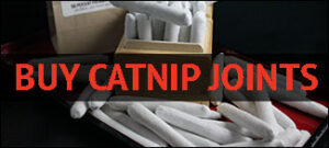 Buy Catnip Joints