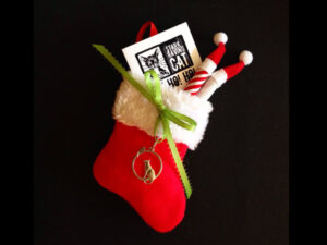 Santa’s Rocking Stocking Catnip Joints