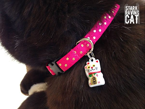Lucky Cat Collar with Gold Dots and Neko Bell