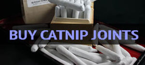 catnip joints