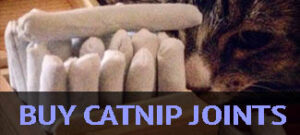 buy catnip joints