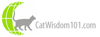 catwisdom101