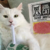 Stratus with Catnip Joint