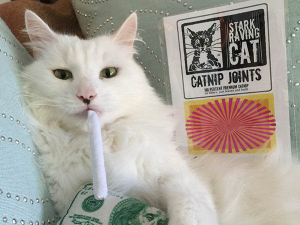 Stratus with Catnip Joint