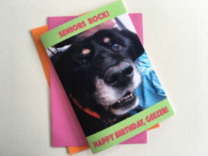 Koko Senior Greeting Card