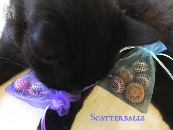 Wolfie with Scatterballs