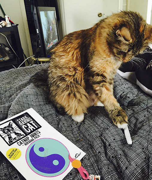 Cat with Three Joint Nirvana Gift Set