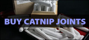 Buy Catnip Joints