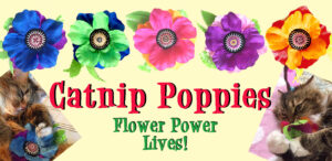 Giant Catnip Poppies