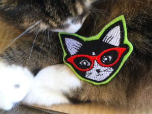 Cool Cat Catnip Toy & Tamale