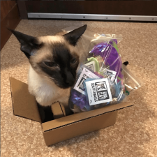 Crystal joins her toys in our shipping box