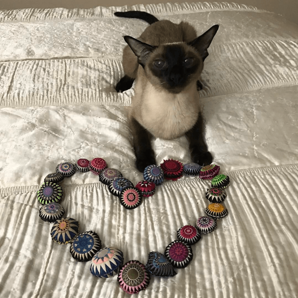 Cat with Scatterballs