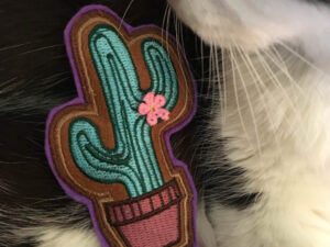 Pookie & Cactus Catnip Toy