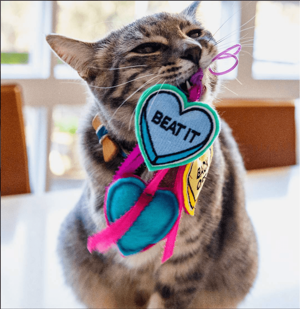 Cat with Love Bites