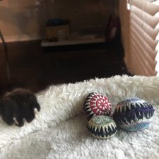 Scatterballs & Paw