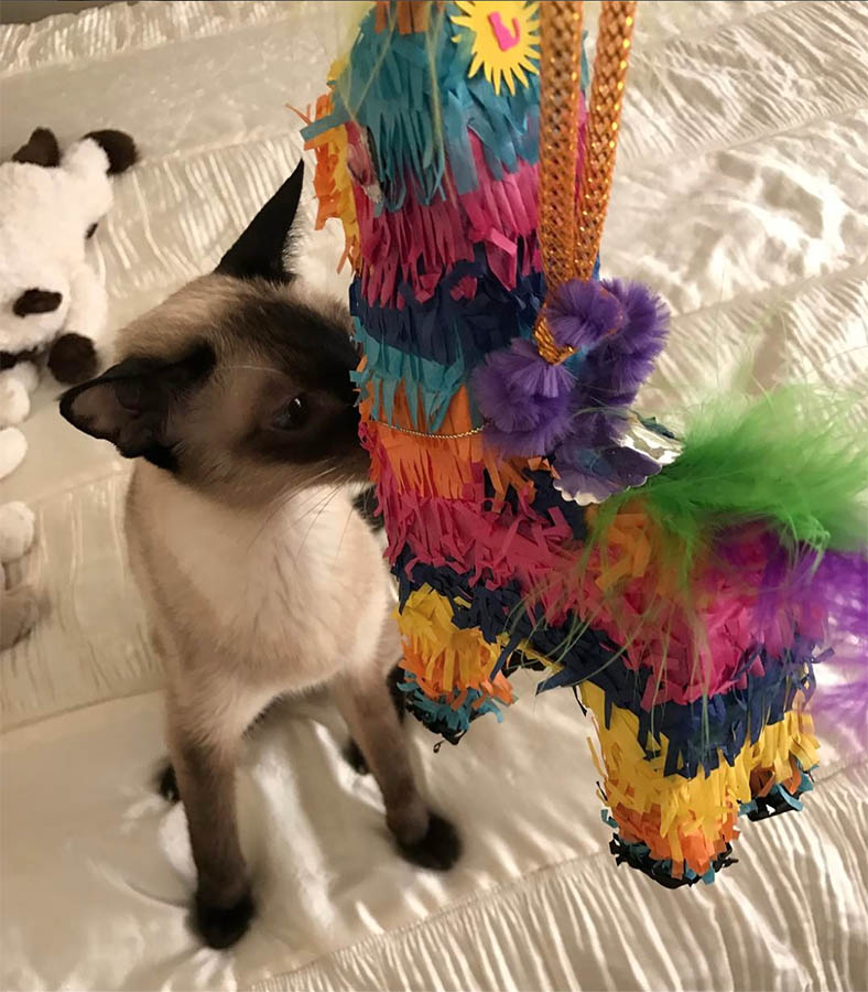 Crystal with Piñata