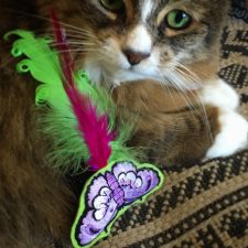 Tamale with Butterfly Catnip Toy