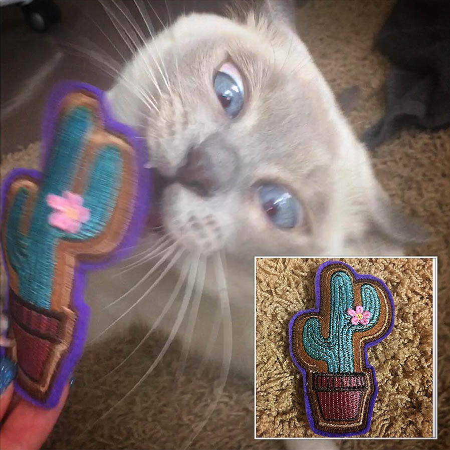 Phoebs with Catnip Cactus Cat Toy