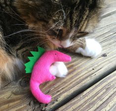 Tamale with Seahorse Catnip Toy Beach Baby