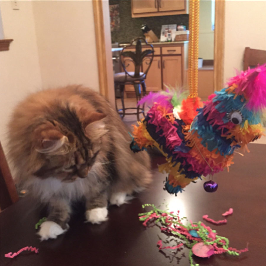 Leila with Piñata