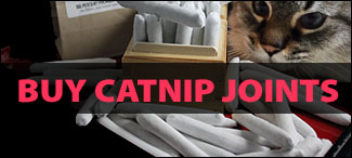 Buy Catnip Joints
