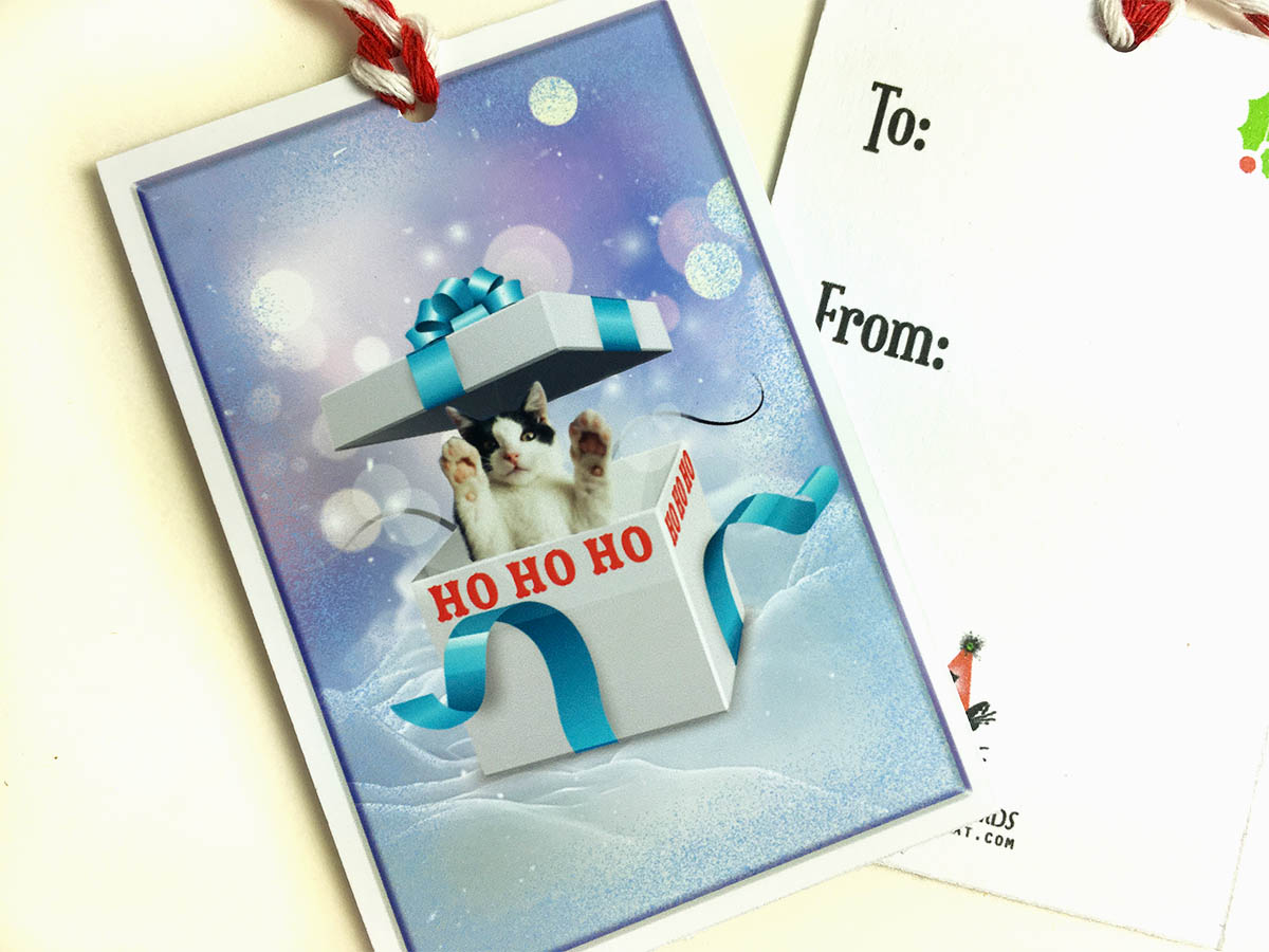Gifttag kitten 4409