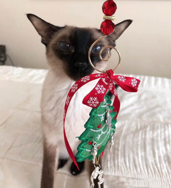 Cat and Christmas Ornament