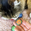 Tamale & Rainbow Scatterballs Cat Toys