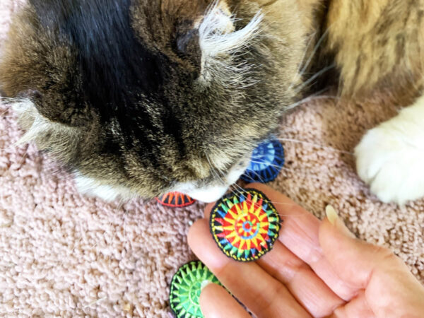 Tamale & Rainbow Scatterballs Cat Toys