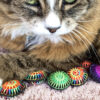 Tamale & Rainbow Scatterballs Cat Toys