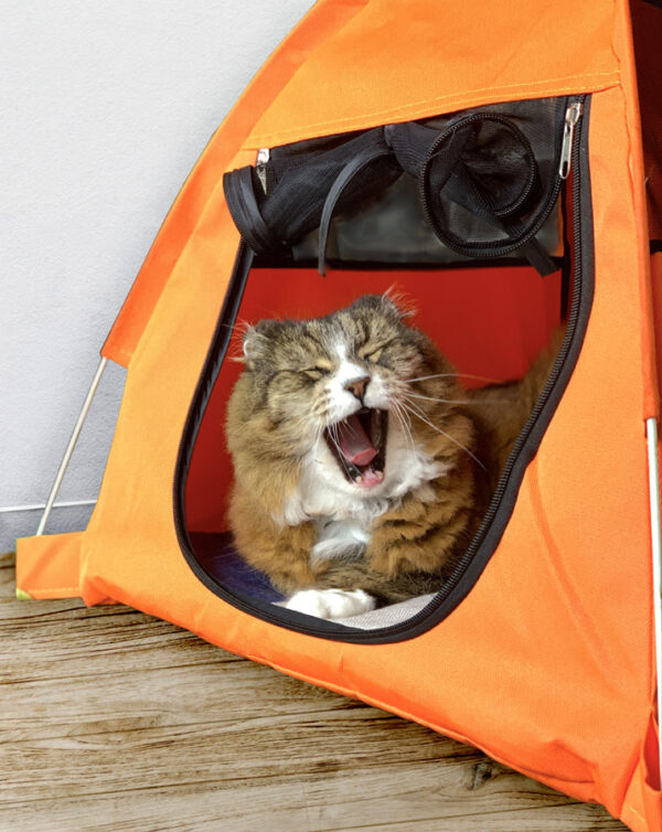 Luxury Pet Tent for Cats or Dogs