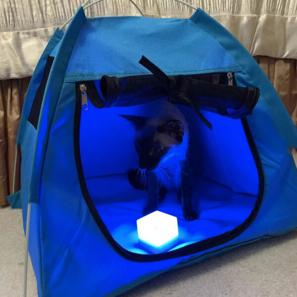 Crystal in a blue tent