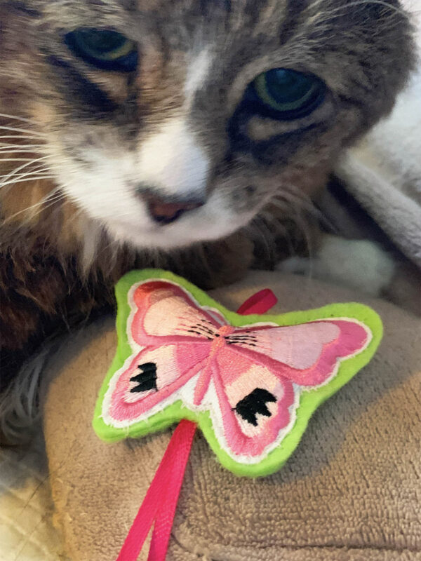 Tamale & Pink Butterfly Catnip Cat Toy