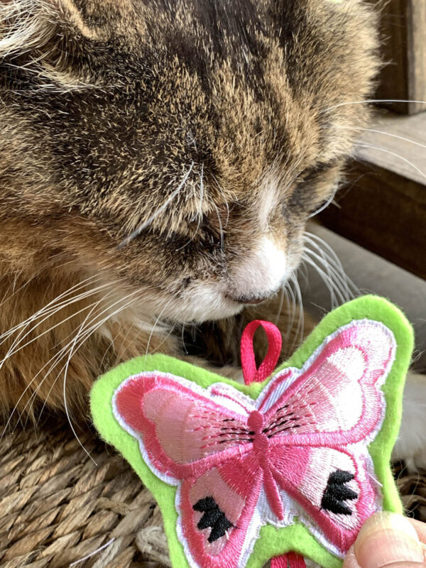 Tamale & Pink Butterfly Catnip Cat Toy