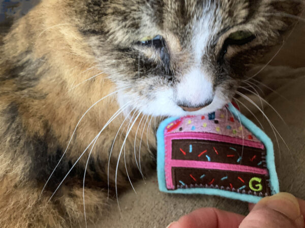 Tamale & Birthday Cake Catnip Cat Toy