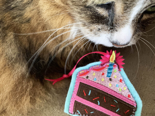 Tamale & Birthday Cake Catnip Cat Toy