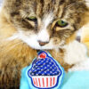 Tamale & American Cupcake Catnip Cat Toy