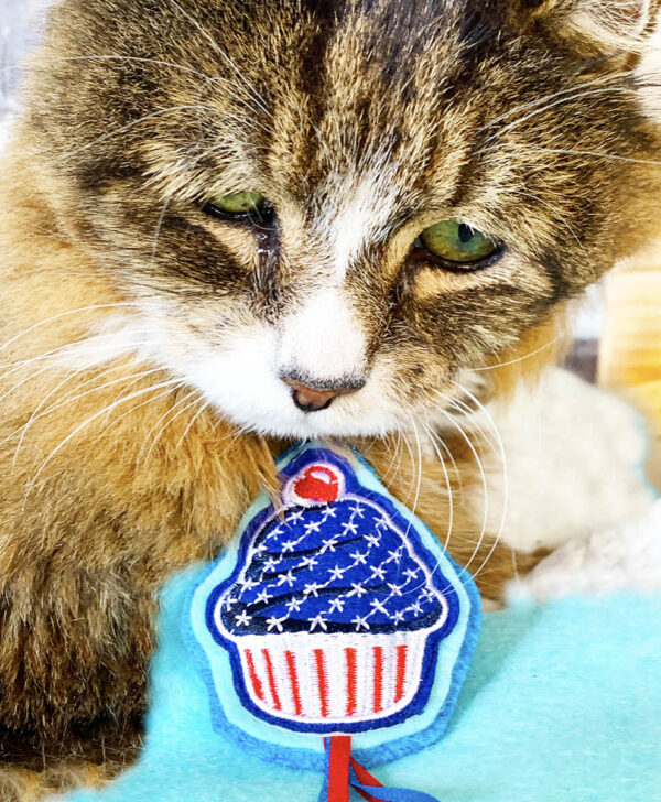 Tamale & American Cupcake Catnip Cat Toy
